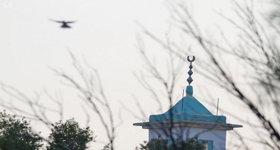 1688 مئذنة تُلفت الأنظار والقلوب لبيوت الله في الجوف