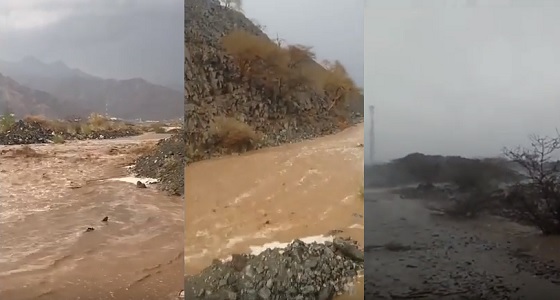 بالفيديو.. أمطار أضم تواصل هطولها لليوم الثاني على التوالي 