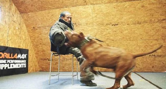 بالفيديو.. متطوع يتعرض لهجوم من كلب بيتبول