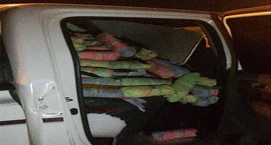 الأمن يضبط 560 حزمة قات داخل مركبة بـ ” القنفذة “