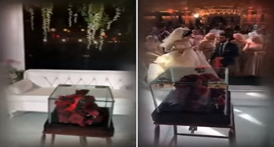 بالفيديو.. عروس تنفذ فكرة طريفة بدلا من إلقاء باقة الزهور