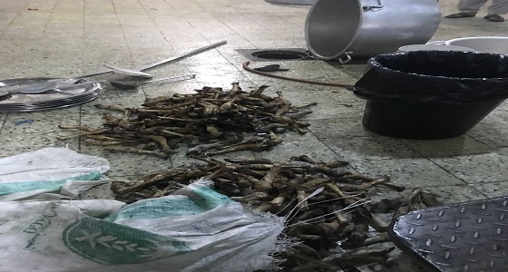 بالصور.. الإطاحة بـ 11 وافدا يديرون مطبخ عشوائي لتوزيع وجبات إفطار فاسدة بمكة