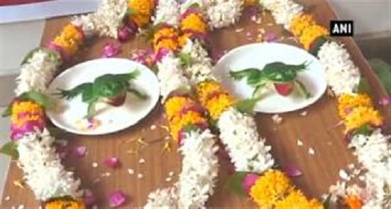 بالفيديو.. حفل زفاف لضفدعين استجداء للمطر