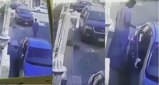بالفيديو.. في وضح النهار.. لص يسرق محتويات مركبة في ثوان معدودة