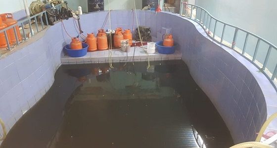 بالصور.. الإطاحة بوافد ووافدة حولا مسبحا إلى مصنع خمور بالطائف