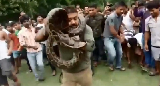 فيديو مروع لثعبان ضخم يخنق رجلا
