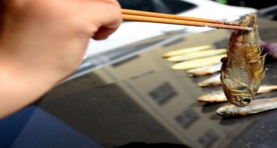 بالصور.. امرأة تطهي السمك على غطاء سيارة بعد ارتفاع درجات الحرارة