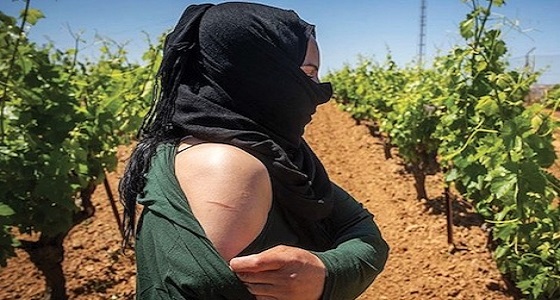 وزير مغربي يعترف: غالبية المعتدين على عاملات حقول الفراولة بإسبانيا مغاربة