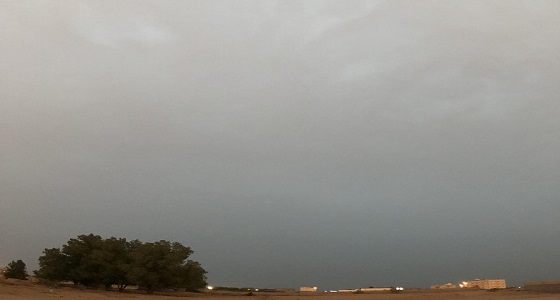 أمطار مصحوبة بصواعق رعدية تضرب جازان