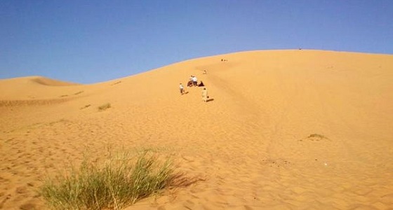 ” المسند ” يوجه نصائح للنجاة في حالة التعرض للتيه في الصحراء