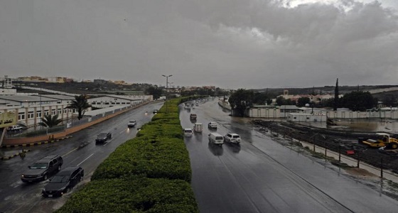 توقعات بهطول أمطار رعدية في الباحة وعسير وجازان