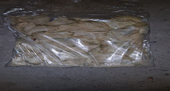 سمبوسة وزيوت طبخ.. أمن الطرق يضبط حمولتين فاسدتين