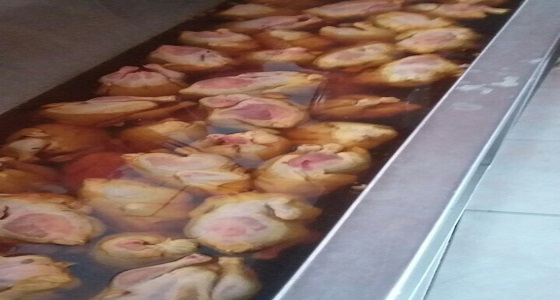 بالصور..ضبط 17 عاملاً لايحملون شهادات صحية في تبوك