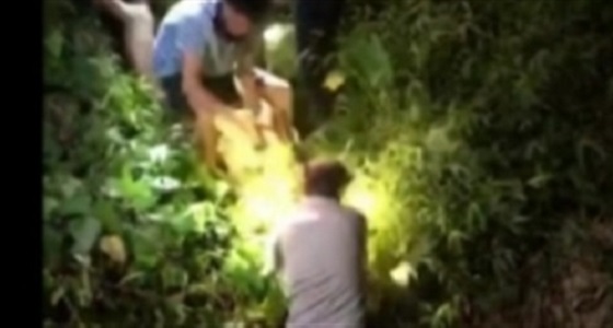 فيديو مروع للحظة إخراج كلب من جوف أناكوندا عملاقة