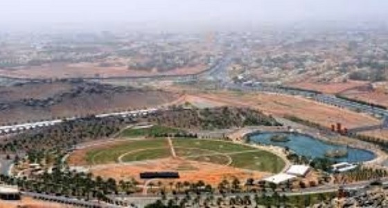 عاش عمره لأجلها رافضا الزواج.. دهس مواطنة على يد ابنها بحائل