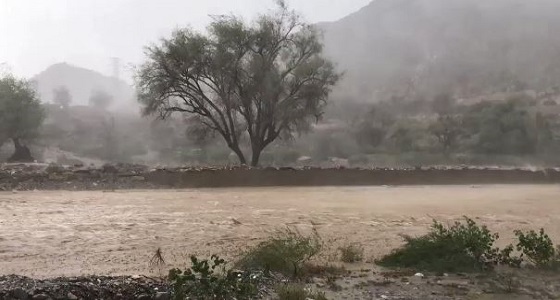 بالفيديو.. أمطار وسيول تضرب وادي ريم اليوم