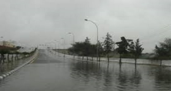 هيئة الأرصاد: سقوط أمطار غزيرة بمنطقة جازان