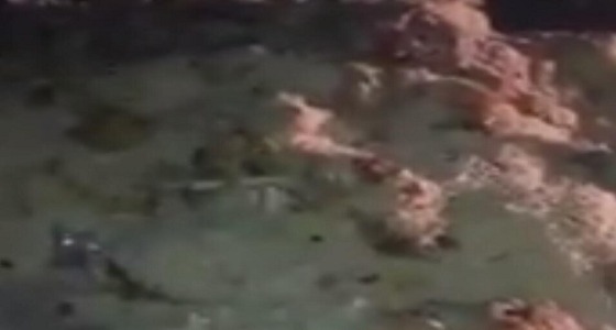 شاهد.. مواطن يوثق إلقاء كمية كبيرة من أطعمة المناسبات على الأرض