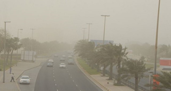 هطول أمطار رعدية وعوالق ترابية على المدينة المنورة ونجران