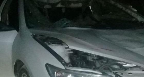 بالصور.. إصابة 4 مواطنين بحادث تصادم مع جمل في طريق عمان