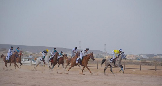 انطلاق سباق السرعة للخيل العربية الأصيلة على كأس إمارة الباحة غدا