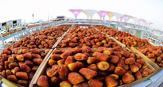 أسعار ” تمور المدينة ” تنخفض نحو 50%