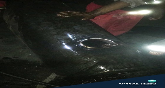 بالصور .. الجمارك : ضبط 21 كيلو من المواد المخدرة المهربة بمنفذ البحطاء