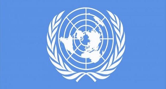فتح باب التسجيل ببرنامج المهنيين الشباب بالأمم المتحدة