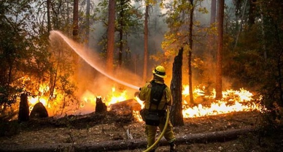 خسائر فادحة إثر 14 حريق في كاليفورنيا.. والسيطرة على 5% منه فقط