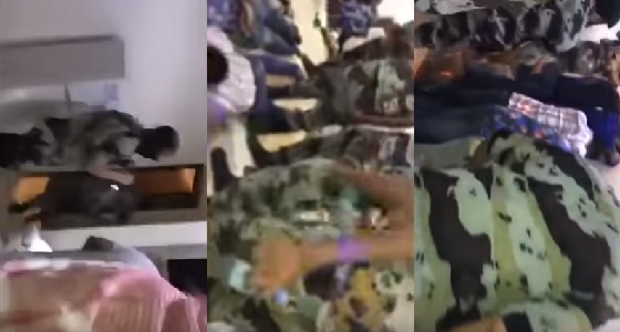 بالفيديو.. ضبط شباب وفتيات بحالة غير طبيعية بأحد شاليهات الرياض