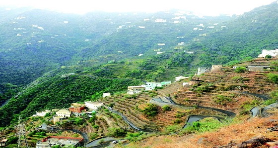 طلقة نارية خاطئة تنهي حياة شاب بجازان