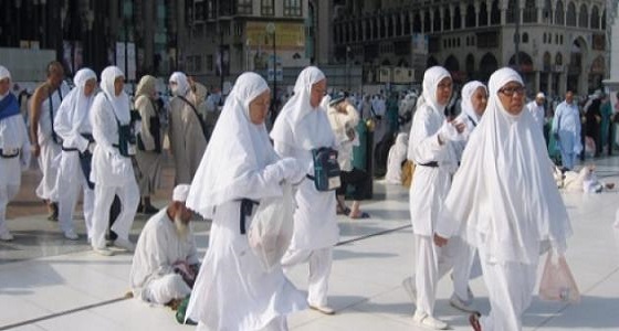 شركات لا تطبق اشتراط المحرم في الحج رغم حسم الأمر