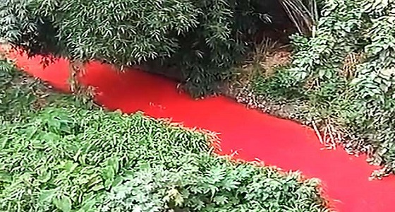 بالفيديو.. سر تحول نهر صيني للون الأحمر