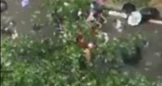 سلسلة بشرية لطالبات حاولن إنقاذ معلم من أسفل شجرة