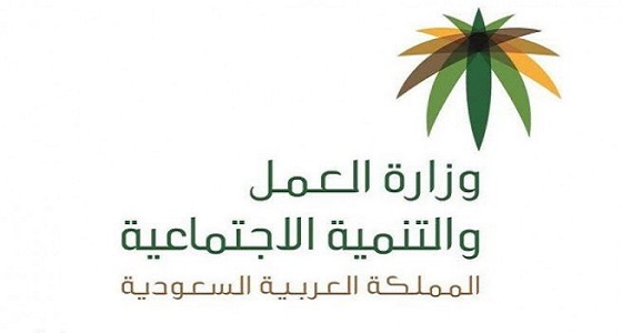 إصدار 1200 تأشيرة الكترونية للأشخاص ذوي الإعاقة بالرياض