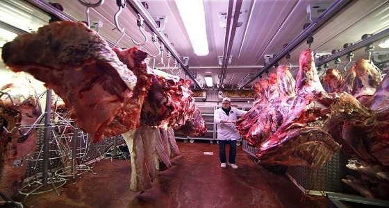 شركة روسية تدخل سوق اللحوم الخليجية من المملكة