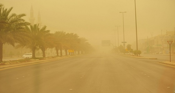 الأرصاد: إنعدام الرؤية بالمنطقة الشرقية والأحساء نتيجة الغبار