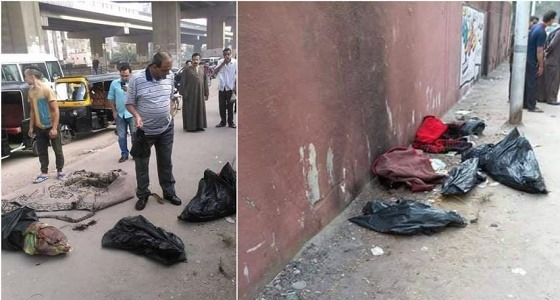 بالفيديو .. العثور على جثث 3 أطفال داخل أكياس قمامة بمصر.. والطب الشرعي يوضح