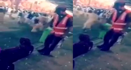 فيديو يوثق تفاني الشهيد ” آل هشلان ” في خدمة حجاج بيت الله