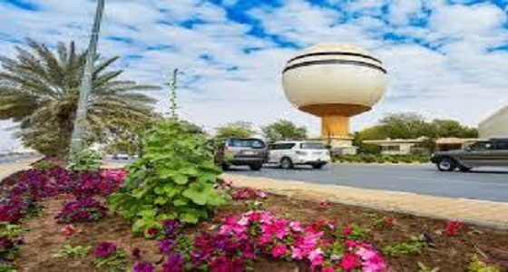 ” التعليم ” تعتمد عددا من التخصصات في كليات القصيم