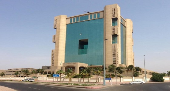 إحباط بيع مخطط عشوائي بمساحة 73 ألف متر مربع شرق جدة