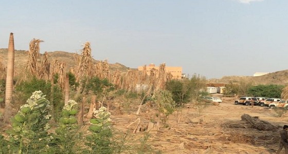 ضبط عمالة وافدة تتدير موقع لصناعة المسكر بجدة