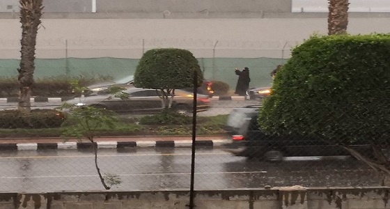 بالفيديو والصور.. استمتاع الأهالي بالأجواء الممطرة في عسير
