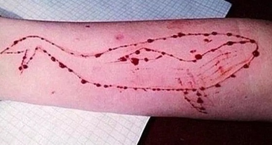 ” شرطة المدينة ” توضح ملابسات انتحار طفلة متأثرة بلعبة الحوت الأزرق