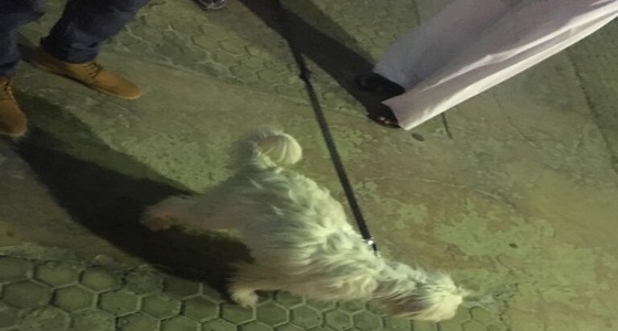 بالصور.. فرض غرامات على أشخاص لاصطحابهم ” كلاب ” بالواجهة البحرية بالخبر