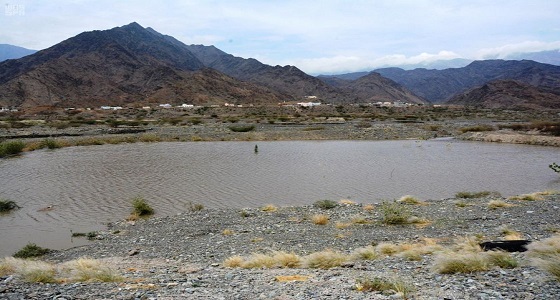هطول أمطار على محايل