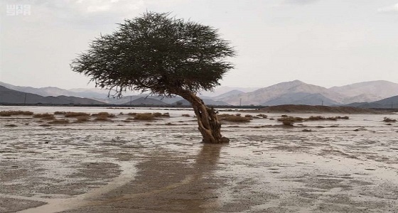 أمطار على مركز الهجمية بمحافظة أملج