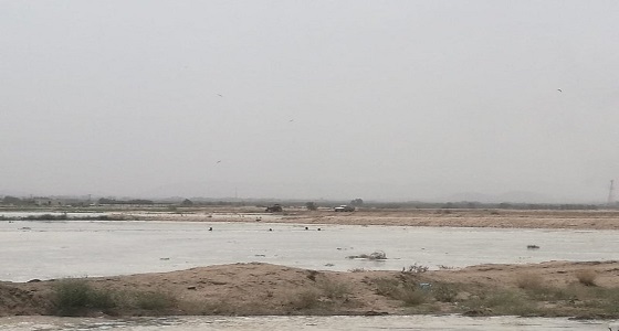 بالصور.. رغم خطورتها.. أطفال يسبحون بأراضي زراعية بمجرى سيل ” وادي ضمد “