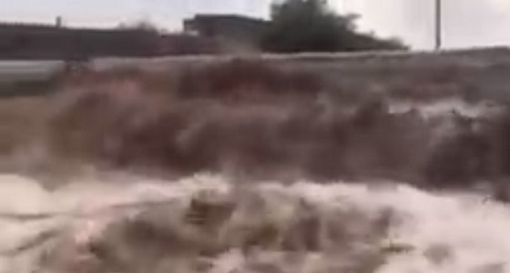بالفيديو.. السيول تقطع الطرق في أودية بيشة