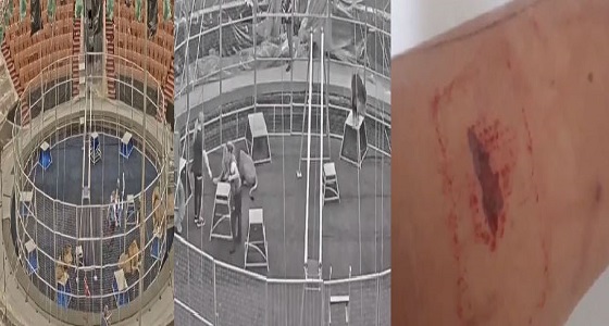 بالفيديو.. أسد يتمرد على مدربه ويهاجمه بوحشية أثناء تدريبه بالسيرك